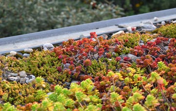 the cost of Lee Mill green roof installation
