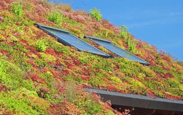 Lee Mill living roof systems