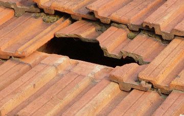 roof repair Lee Mill, Devon